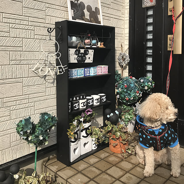 yuki89さんの実例写真