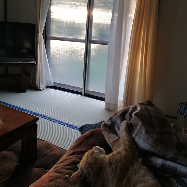 y.ebihara0811さんの実例写真