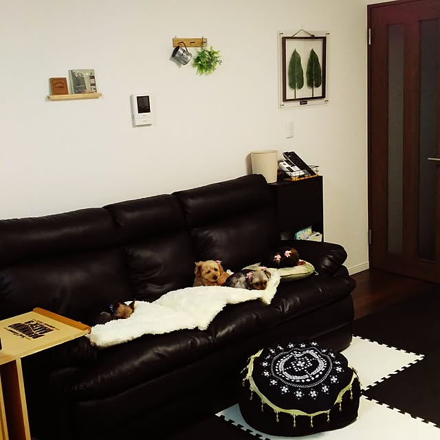 chasoさんの実例写真