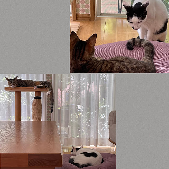 nobikoさんの実例写真