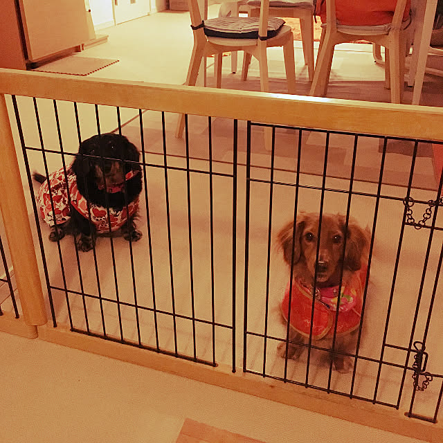 Maiさんの実例写真