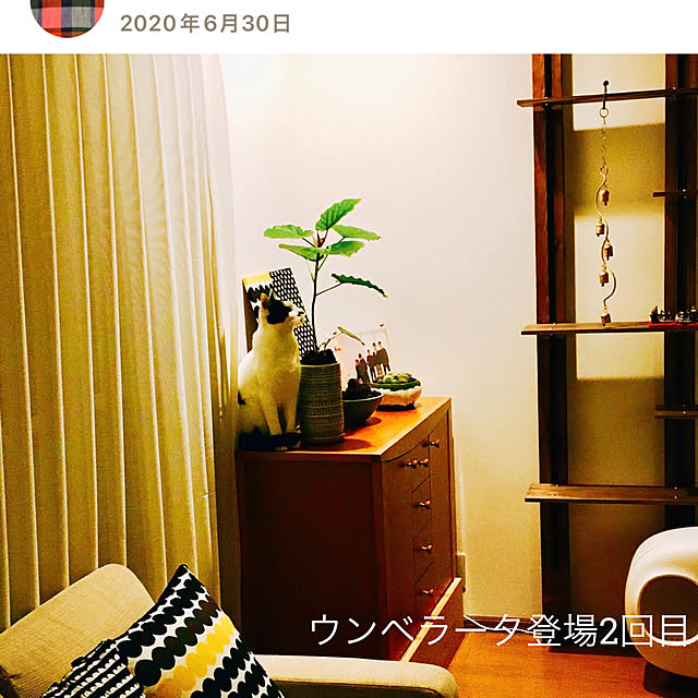 nobikoさんの部屋