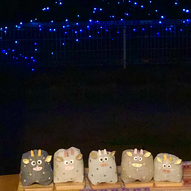 nokkoさんの実例写真