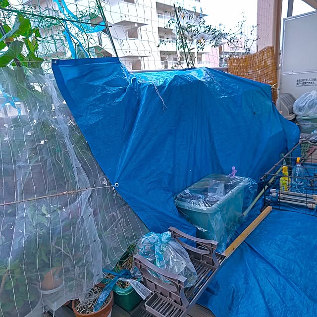 mariaさんの部屋