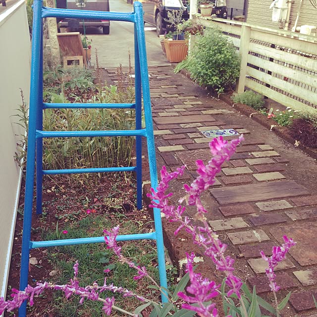 sunさんの実例写真