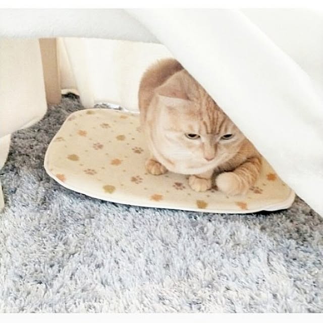 heart.emiemi57.whiteさんの部屋
