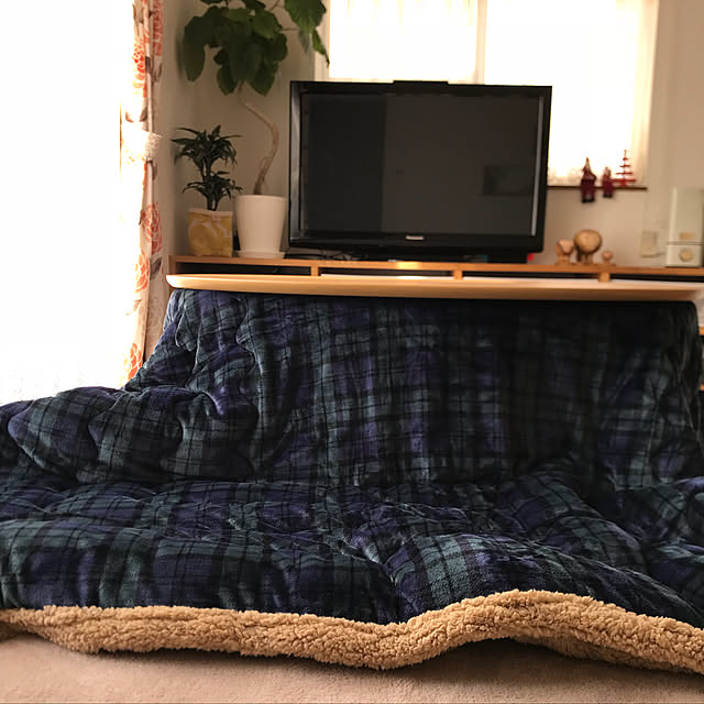 doraponさんの実例写真