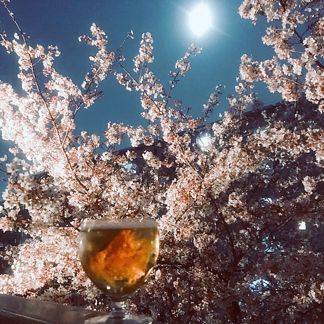 rueさんの実例写真