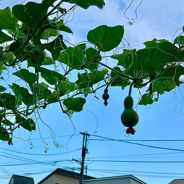 sachieyさんの部屋