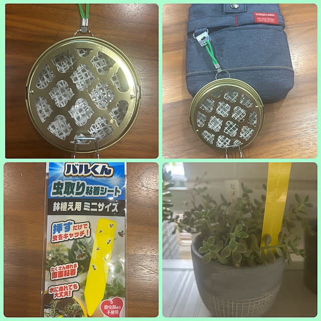 banbinaさんの部屋
