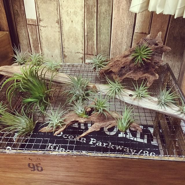 shey0510さんの実例写真