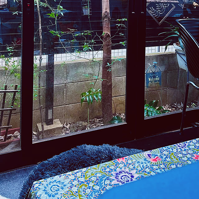 chacoさんの実例写真
