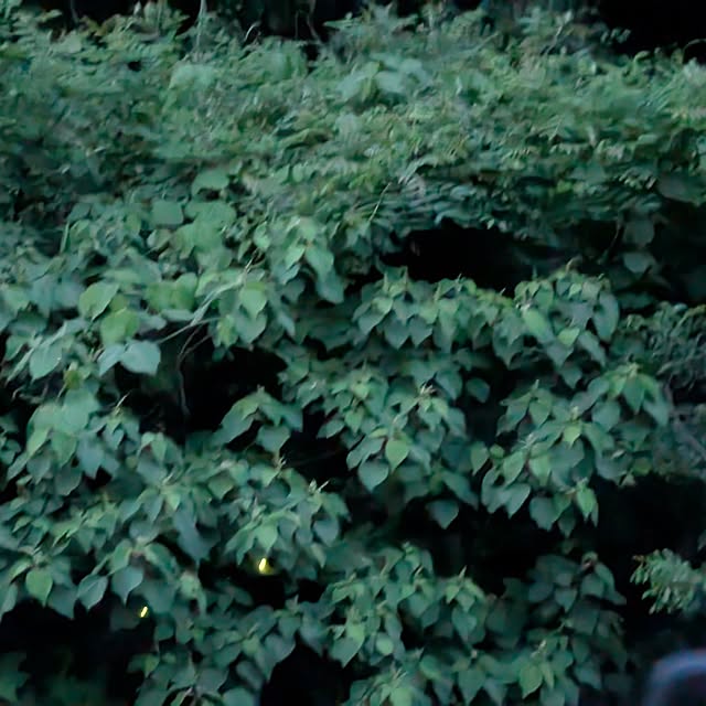 asaさんの部屋
