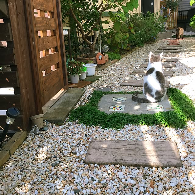 mintcatさんの実例写真