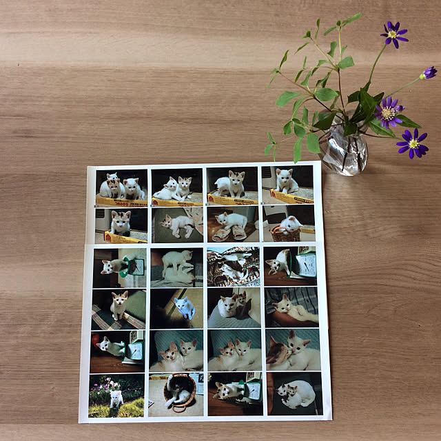 houenさんの実例写真