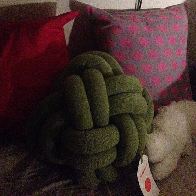 l11aさんの実例写真