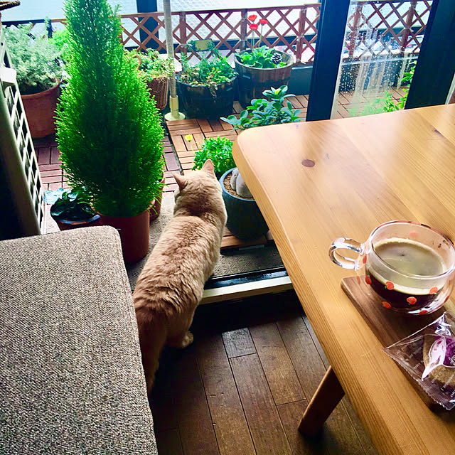 naokoさんの部屋