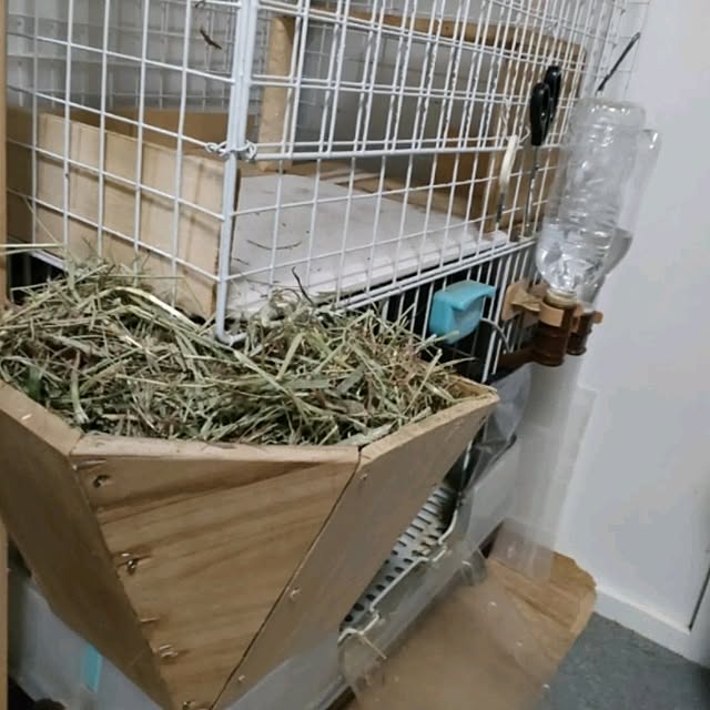 mori_6_12さんの部屋