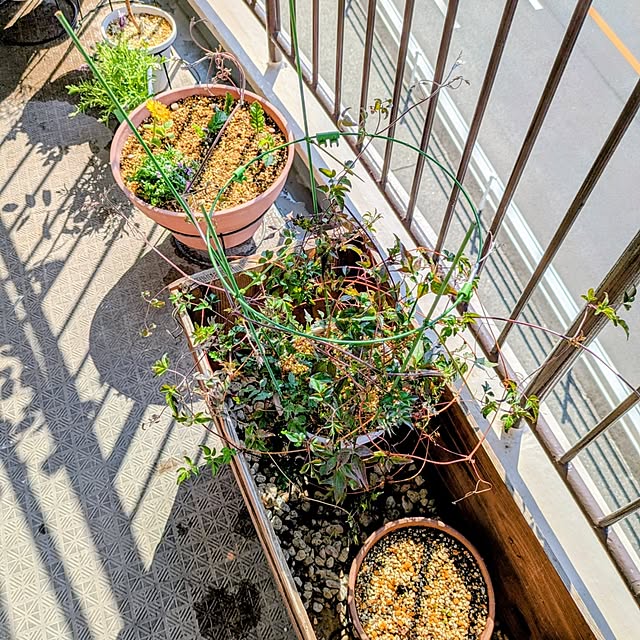 mi-saさんの部屋