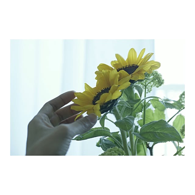 niteさんの実例写真