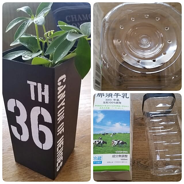 milk_tea_0206さんの実例写真