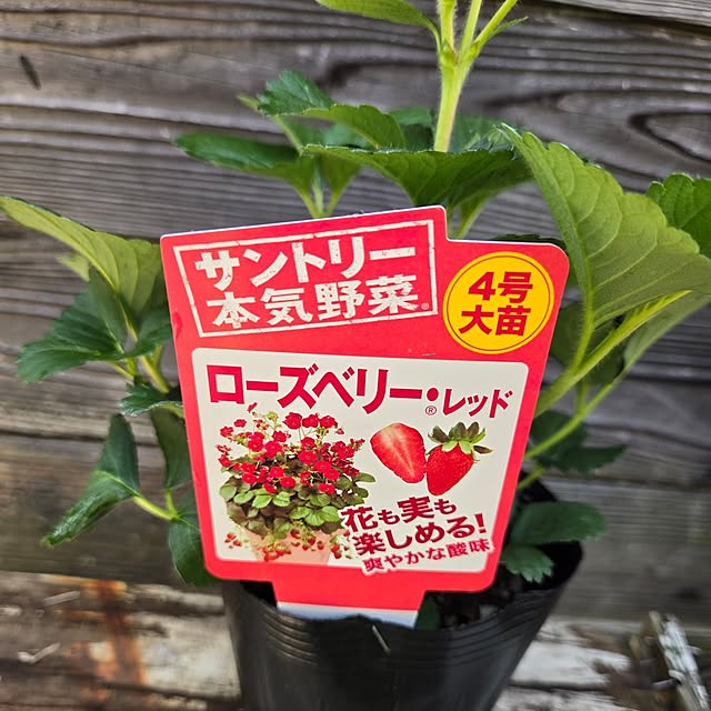 min_nimさんの部屋