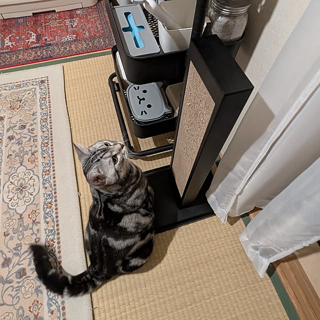 lovepeaceさんの実例写真