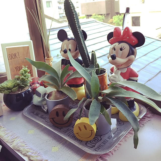 yukkoさんの実例写真