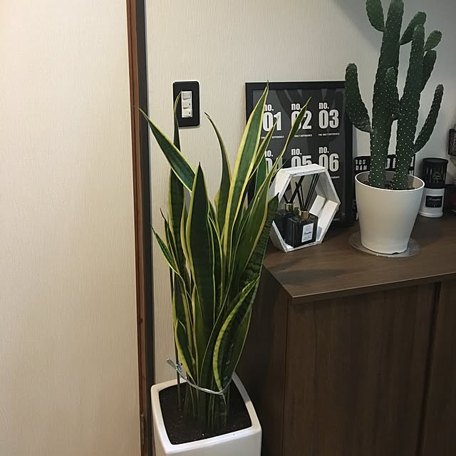 mame..さんの実例写真