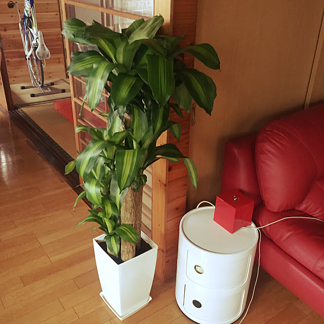 makkoshiさんの実例写真
