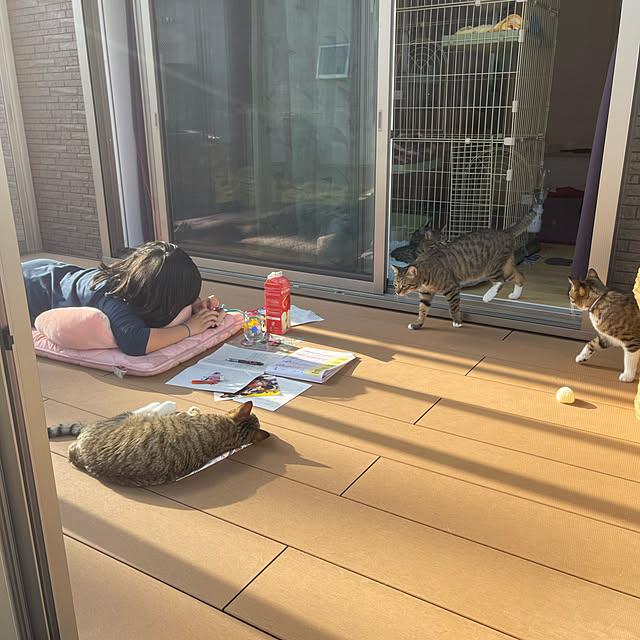 manekinekoさんの実例写真