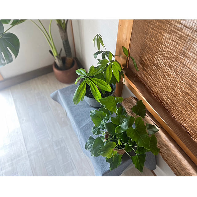 rookuさんの部屋