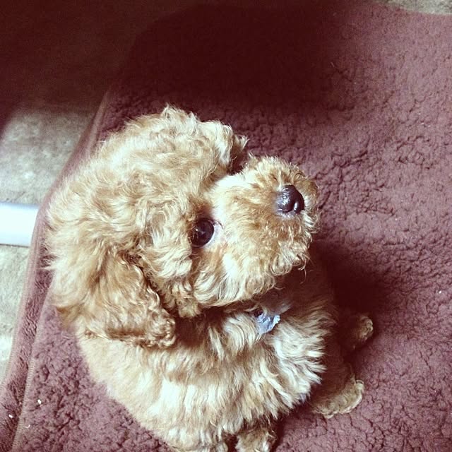 ofusuroさんの実例写真