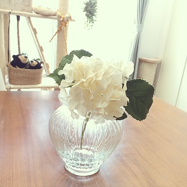 sakineko528さんの実例写真