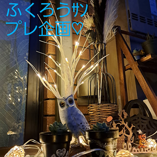 noaさんの実例写真