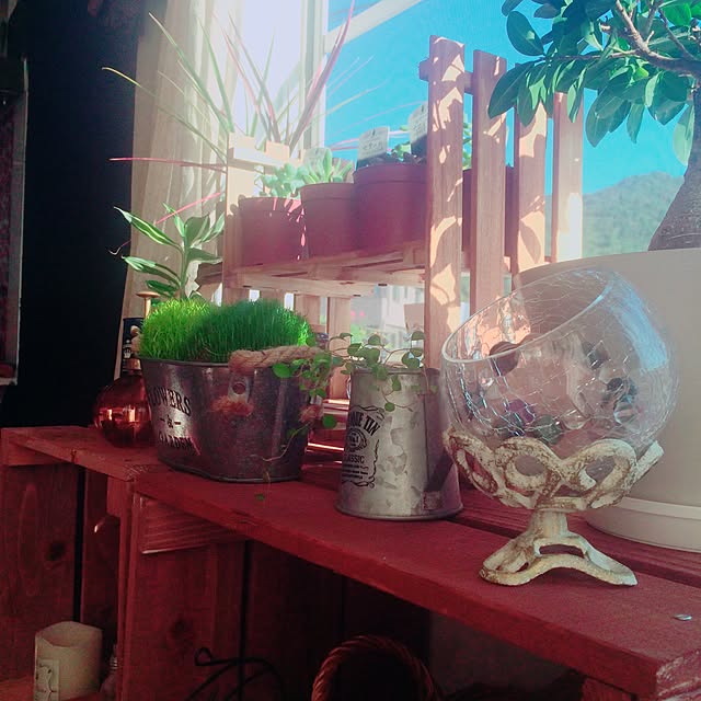 shikiさんの実例写真