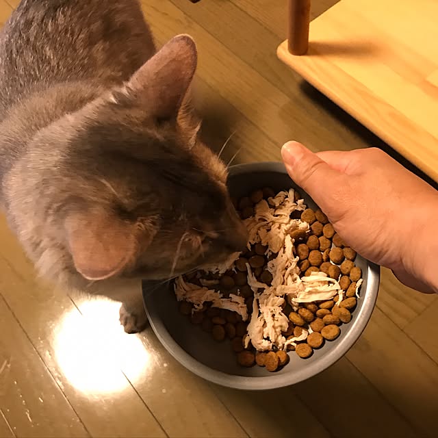 yumuyumuさんの実例写真