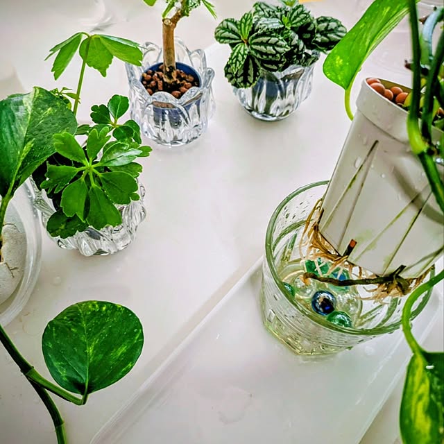 mi-saさんの部屋