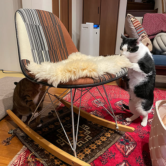 maruさんの実例写真