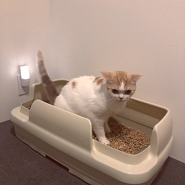 makimakiさんの実例写真