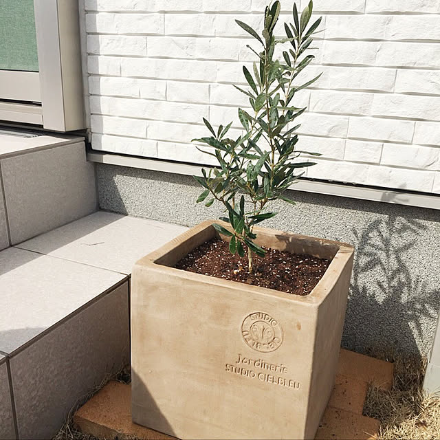 kumaさんの実例写真