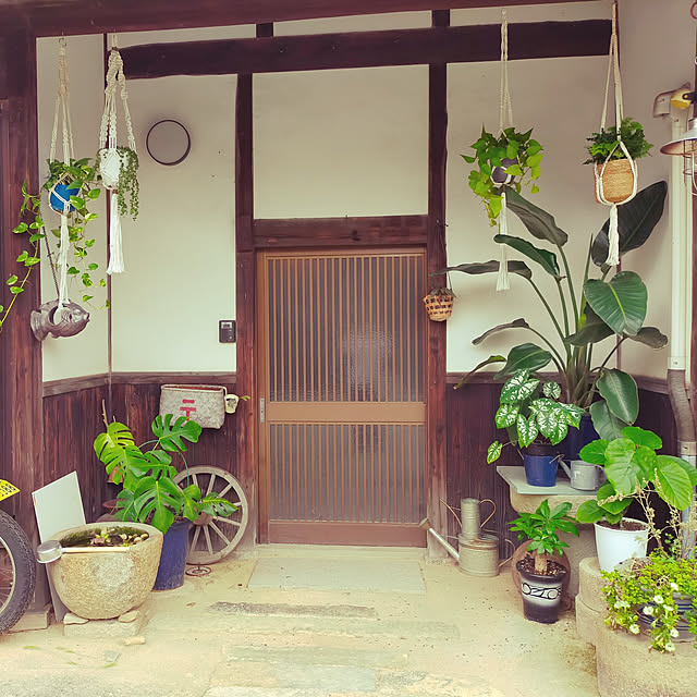 実例写真