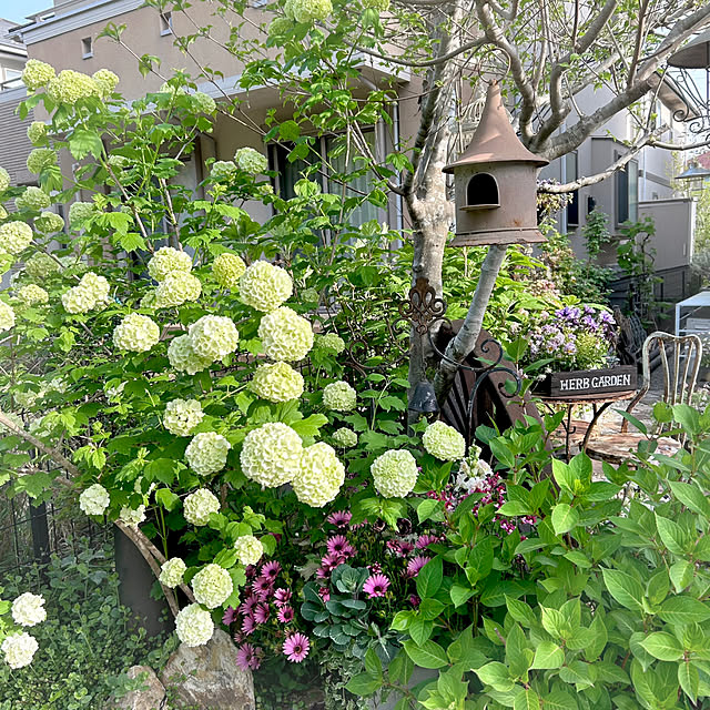 soraさんの部屋