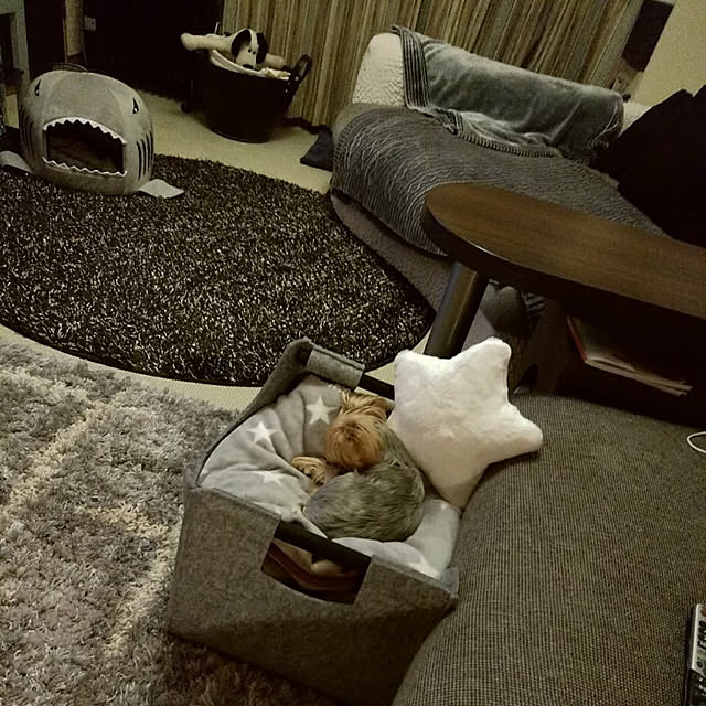 saさんの実例写真