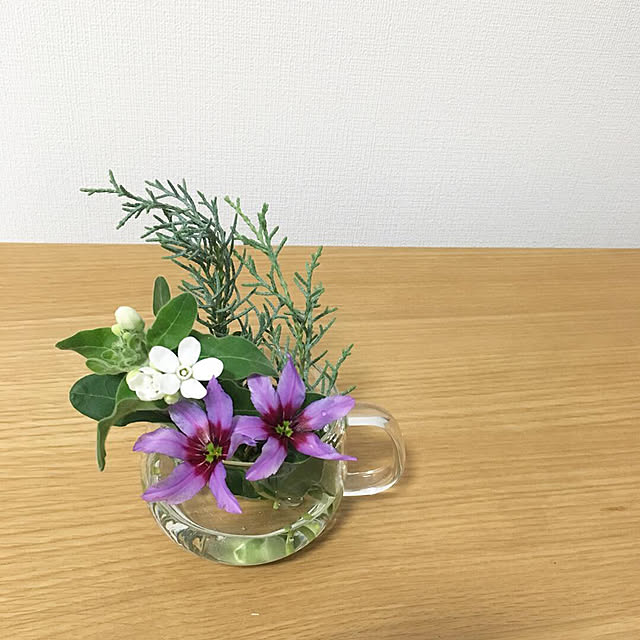 blue_earthさんの実例写真