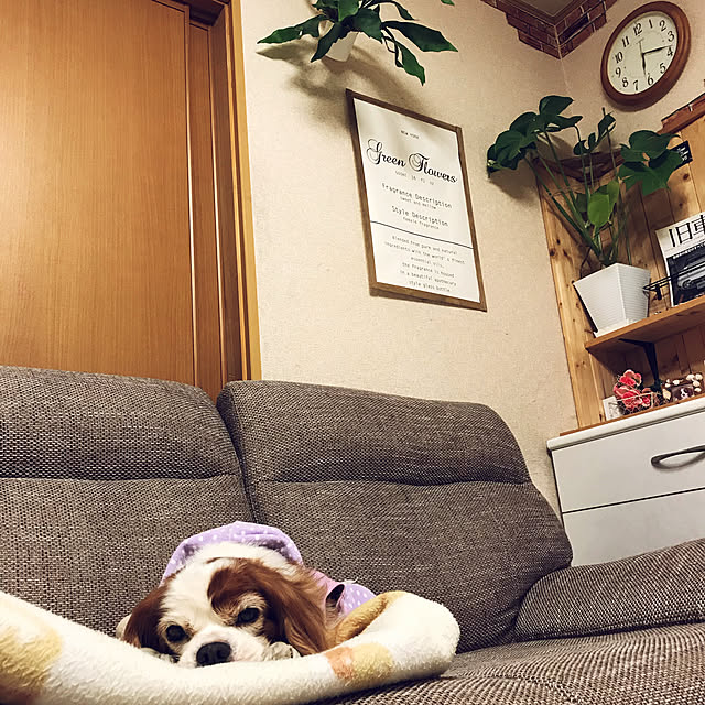 canmilmamaさんの実例写真