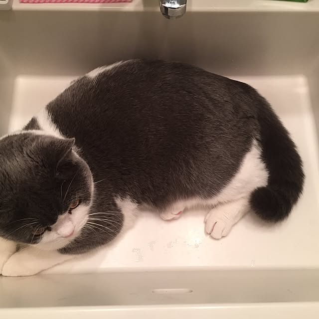 Yuriさんの実例写真