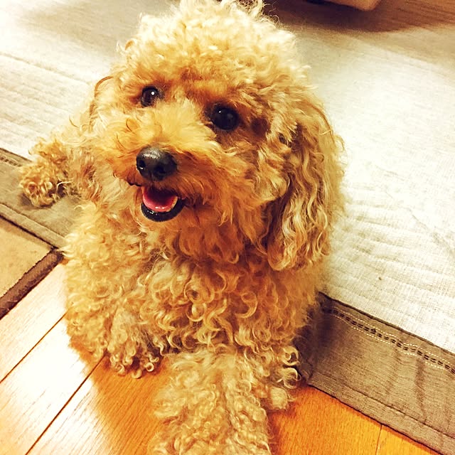 10さんの実例写真