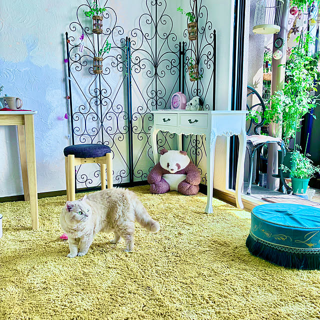 naokoさんの部屋