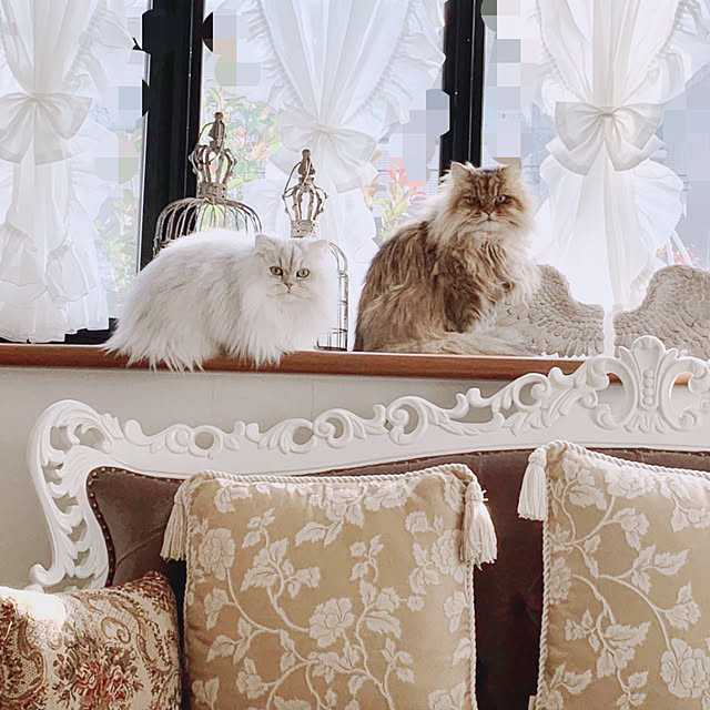 Aliceさんの実例写真